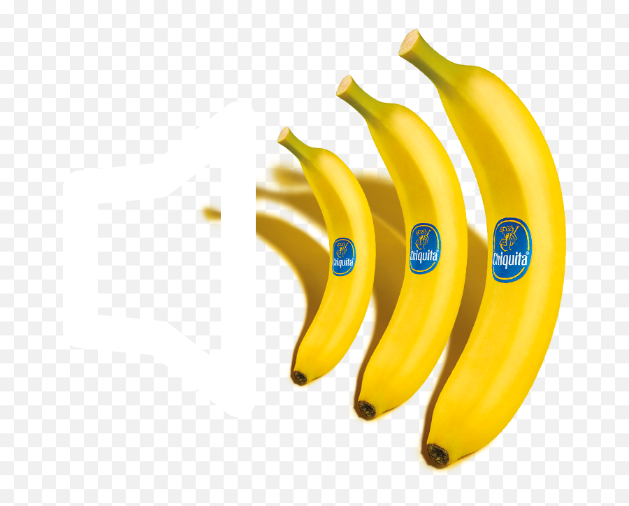 Chiquita Brand Story Who Is Miss Chiquita Chiquita Bananas - Ripe Banana Emoji,Dancing Banana Emoticon Download