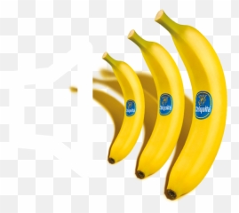 Chiquita Brand Story Who Is Miss Chiquita Chiquita Bananas - Ripe Banana Emoji,Dancing Banana Emoticon Download