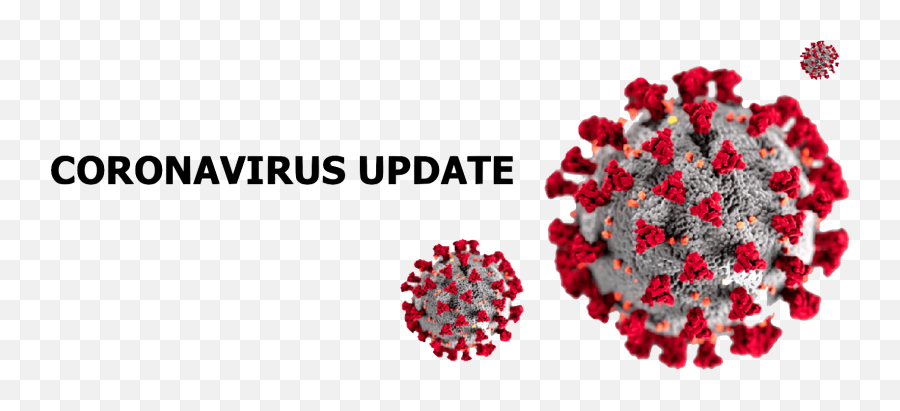 Coronavirus Update 9 - 2 U2013 Coronavirus Update Covid 19 Icon Png Emoji,Swollen Testicles Emotions