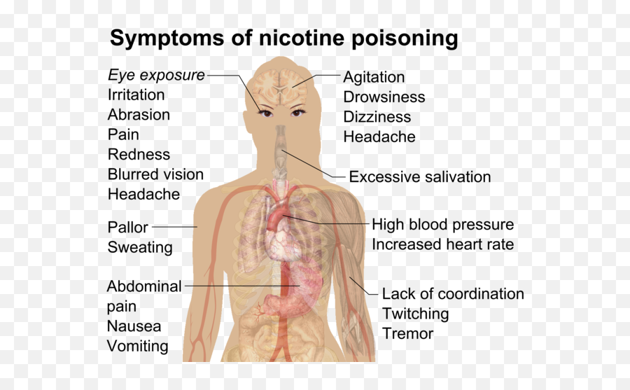 Safety Of Electronic Cigarettes - Wikiwand Nicotine Poisoning Emoji,Expression Of Emotions In Man And Animals Wikipedia