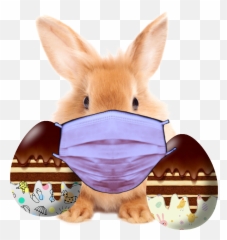 Sticker - Conejo De Pascua Con Barbijo Emoji,Huevos De Pascua Emojis