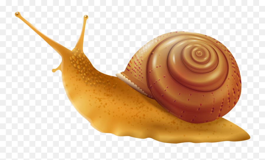 Snail Png Transparent Background - Snail Clipart Png Emoji,Gary The Snail With Emojis