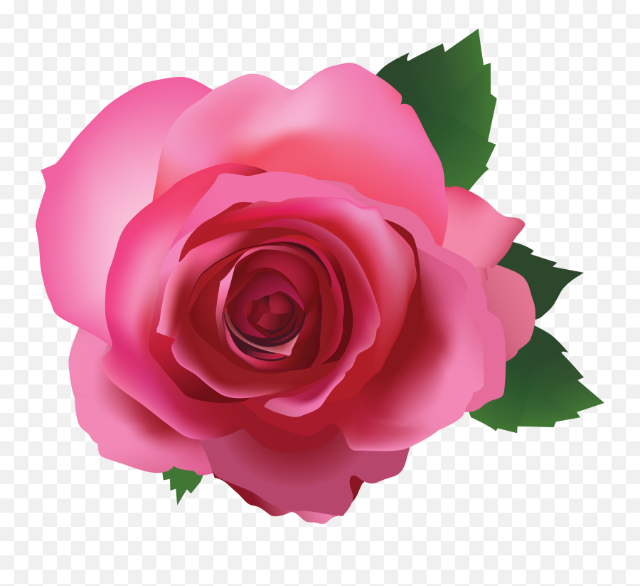 Rose Pink Clip Art - Dark Pink Rose Png Transparent Emoji,Pink Rose Emoticon