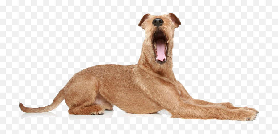 Yawn Png Transparent Images Pictures Photos Png Arts - Yawning Dogs Emoji,Dog Emoticon Yawning