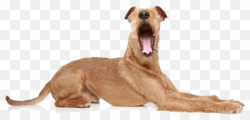 Yawn Png Transparent Images Pictures Photos Png Arts - Yawning Dogs Emoji,Dog Emoticon Yawning