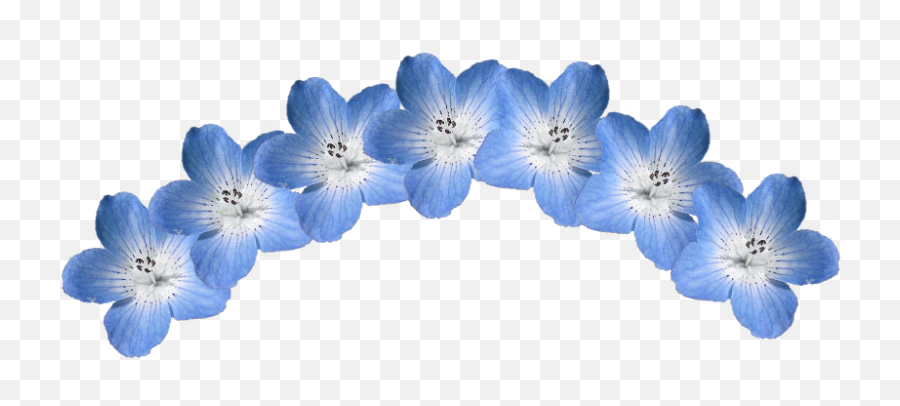 Blue Flower Crown Png Transparent Png Png Collections At - Lovely Emoji,Blue Flower Emoji