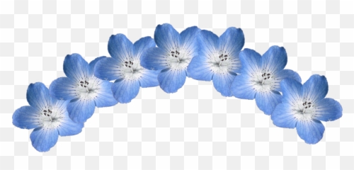 Blue Flower Crown Png Transparent Png Png Collections At - Lovely Emoji,Blue Flower Emoji