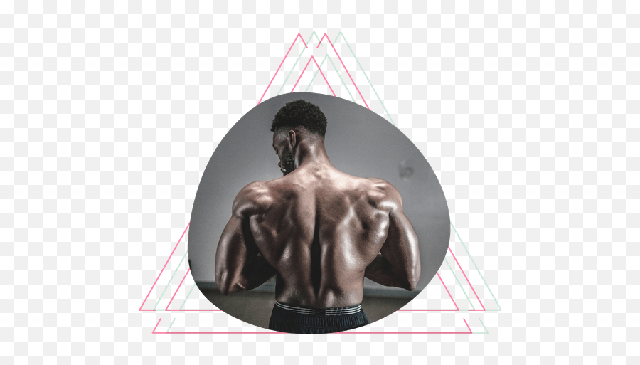 Werstupid - The Most Research Based Health U0026 Fitness Website Emoji,Bodybuilder Emoticon