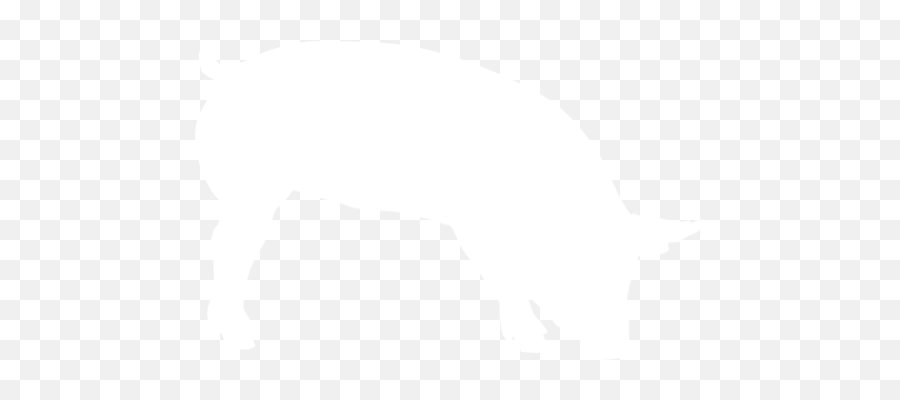 White Pig 7 Icon - Free White Animal Icons White Pig Icon Png Emoji,Pig Emoticon Text