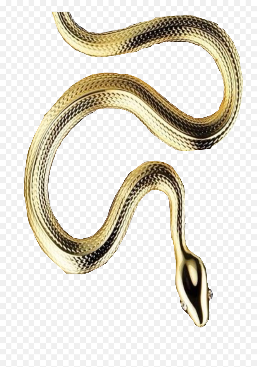 The Most Edited - Golden Snake Sticker Emoji,Emoji Snake Streched Out