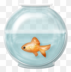 Goldfish Fishbowl Sticker - Fisch Im Aquarium Clipart Emoji,Fishbowl Emoji Transparent