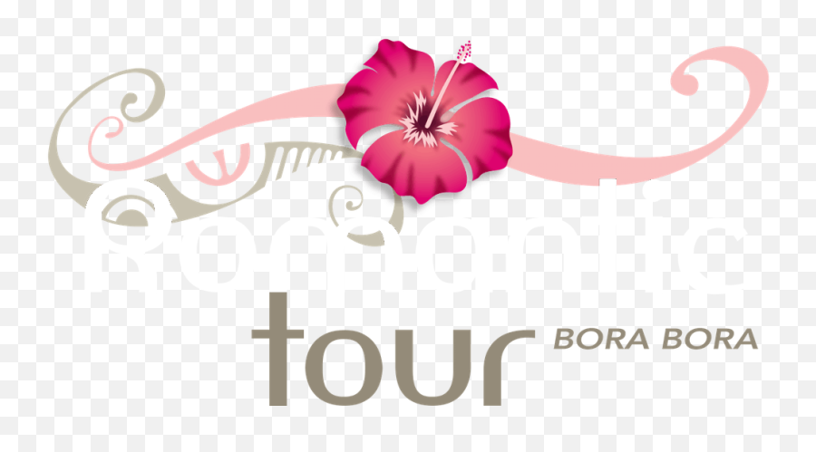 Bora Bora Tours U0026 Romantic Packages Romantic Tour - Romantic Tours Emoji,Romance Showing Emotion On The Page