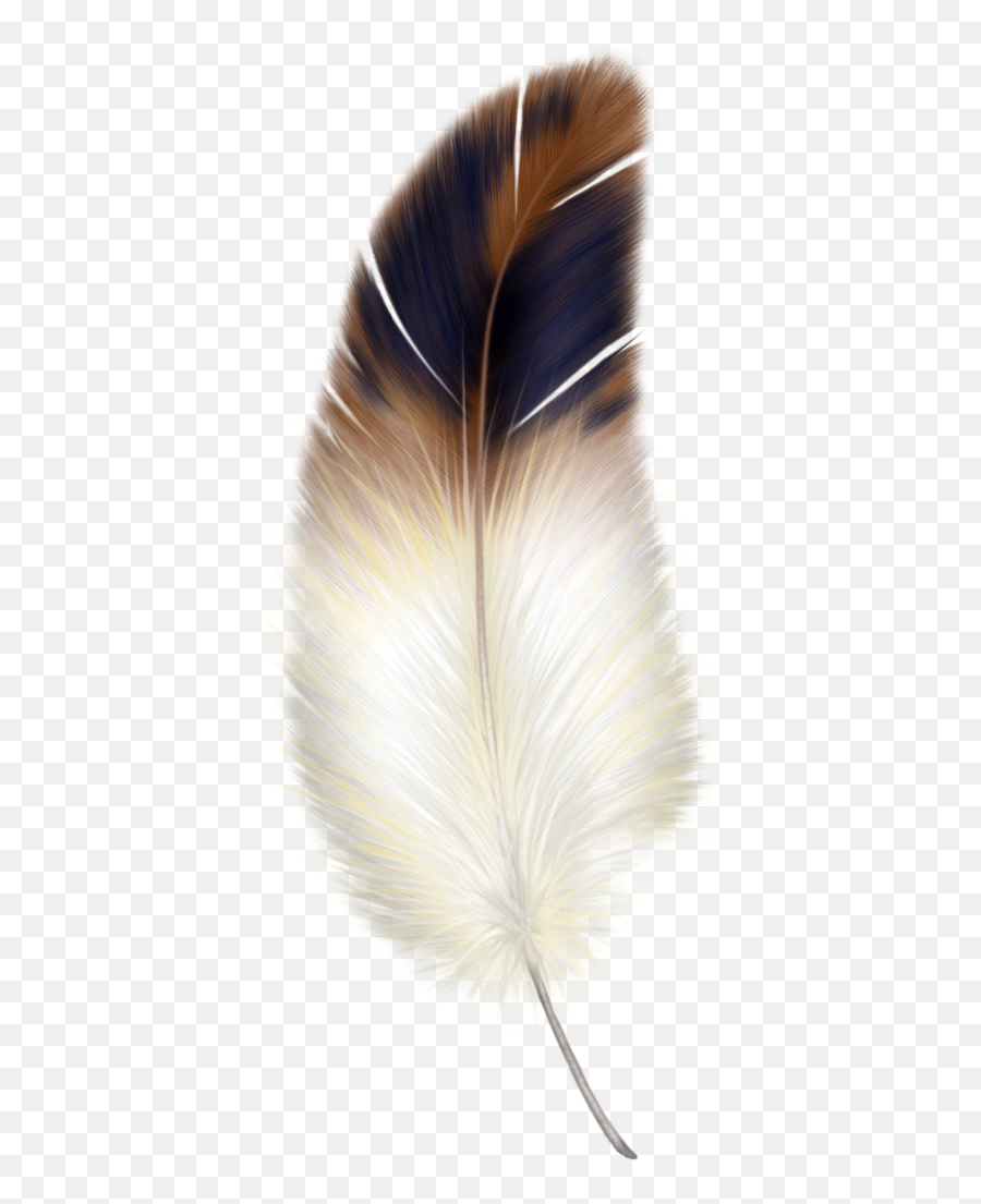 Brown And White Feather Clipart 0 - Clipartix Feather Png Emoji,Feather Emoji