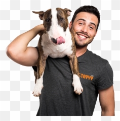How To Train Your Dog - Dia Dos Pais Pet Shop Emoji,An Introduction To Dog Intelligence And Emotion
