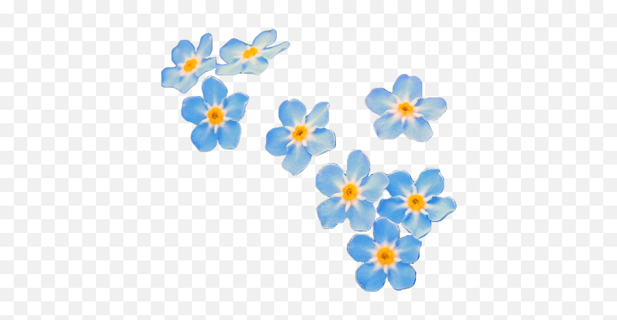 Nier Roleplay - Aesthetic Blue Floral Transparent Emoji,Emil Nier Emoticons