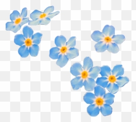 Nier Roleplay - Aesthetic Blue Floral Transparent Emoji,Emil Nier Emoticons