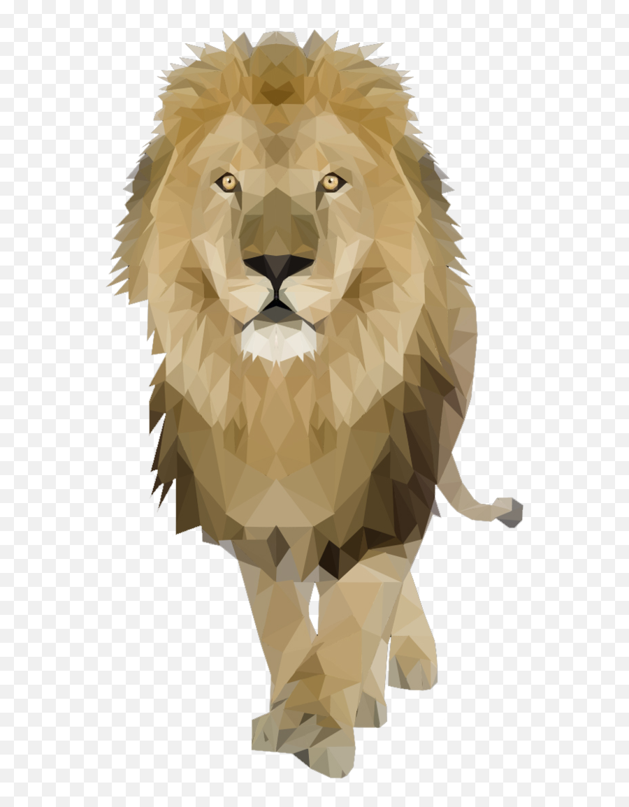 Lion Transparent Background Png Images - Geometric Lion Pngs Emoji,Lion Of Judah Emoji