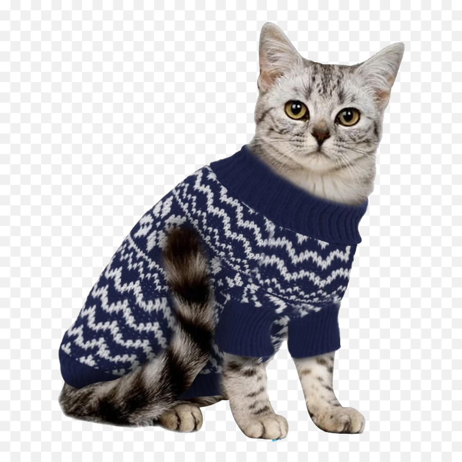 Cat In Sweater The Humane Society Of Harford County - Jersey Para Gatos Emoji,Cat Laying Down Emoticon