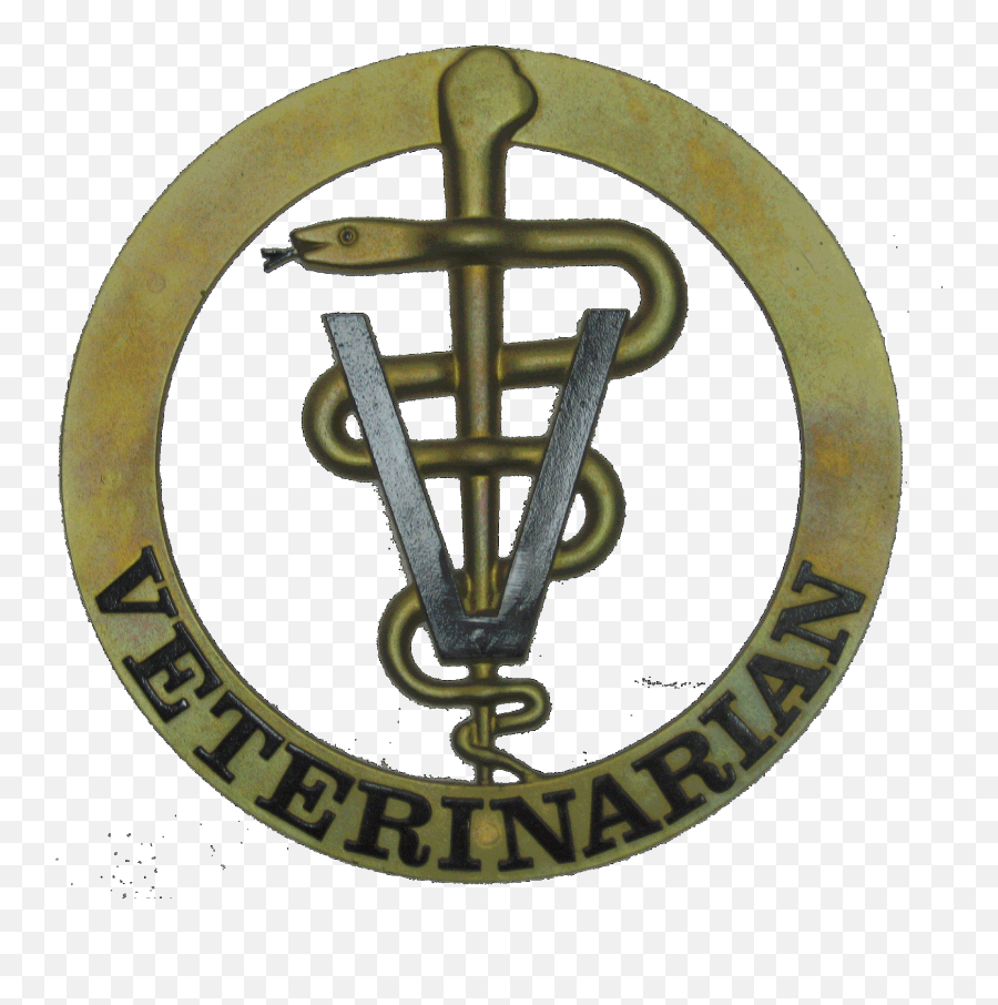 Veterinarian Symbol 1156419 Som300 Info Veterinary Symbol - Logo Veterinary Doctor Symbol Emoji,Medical Symbol Emojis