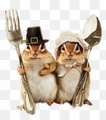 Sticker Sticker By Alison Johnson - Squirrel Thanksgiving Emoji,Chipmunk Emoji Android