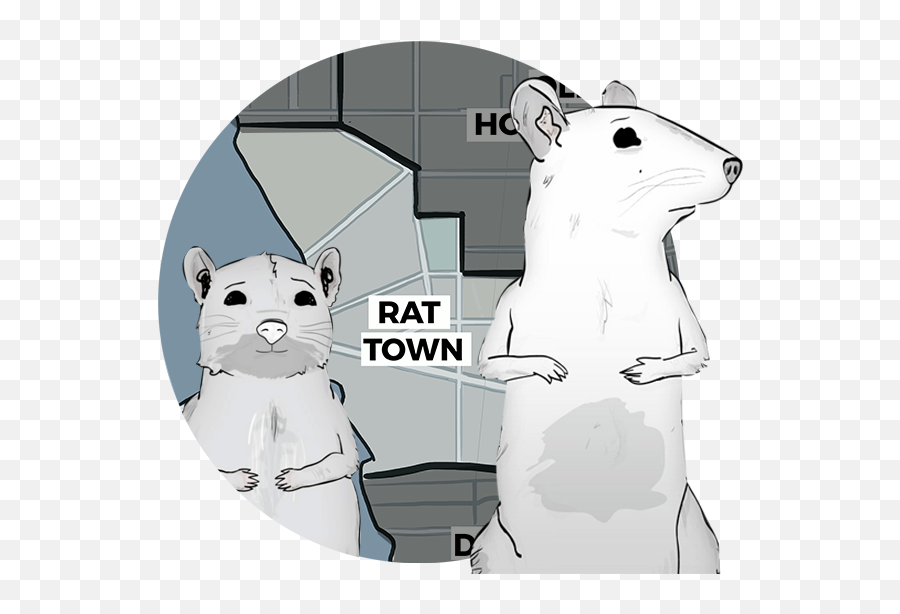 Get A Post - Human Look At The World Of U0027animalsu0027 Rat Emoji,Love Emotion Human Animals