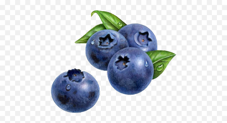 The Most Edited Crecent Picsart - Blueberries Painting Emoji,Imagr Emoticons