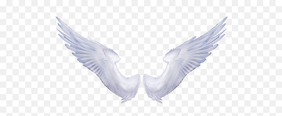 Get Angel Pictures Png Transparent Background Free Download Emoji,Angel Wing Emoticons