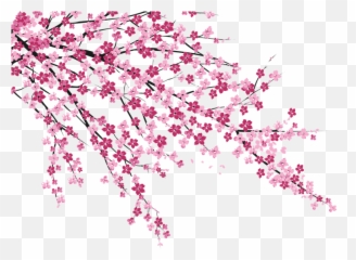 Download No Blossom Cherry Hanabiratachi Wall Sakura Emoji,Wall Eyed Japanese Emoticon