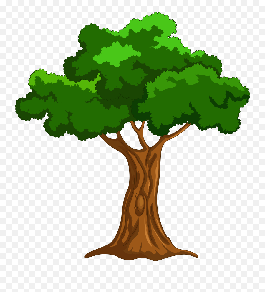 Cartoon Tree Png Clip Art - Big Book Of Beginner Reading Transparent Tree Cartoon Png Emoji,Beginner Emoji