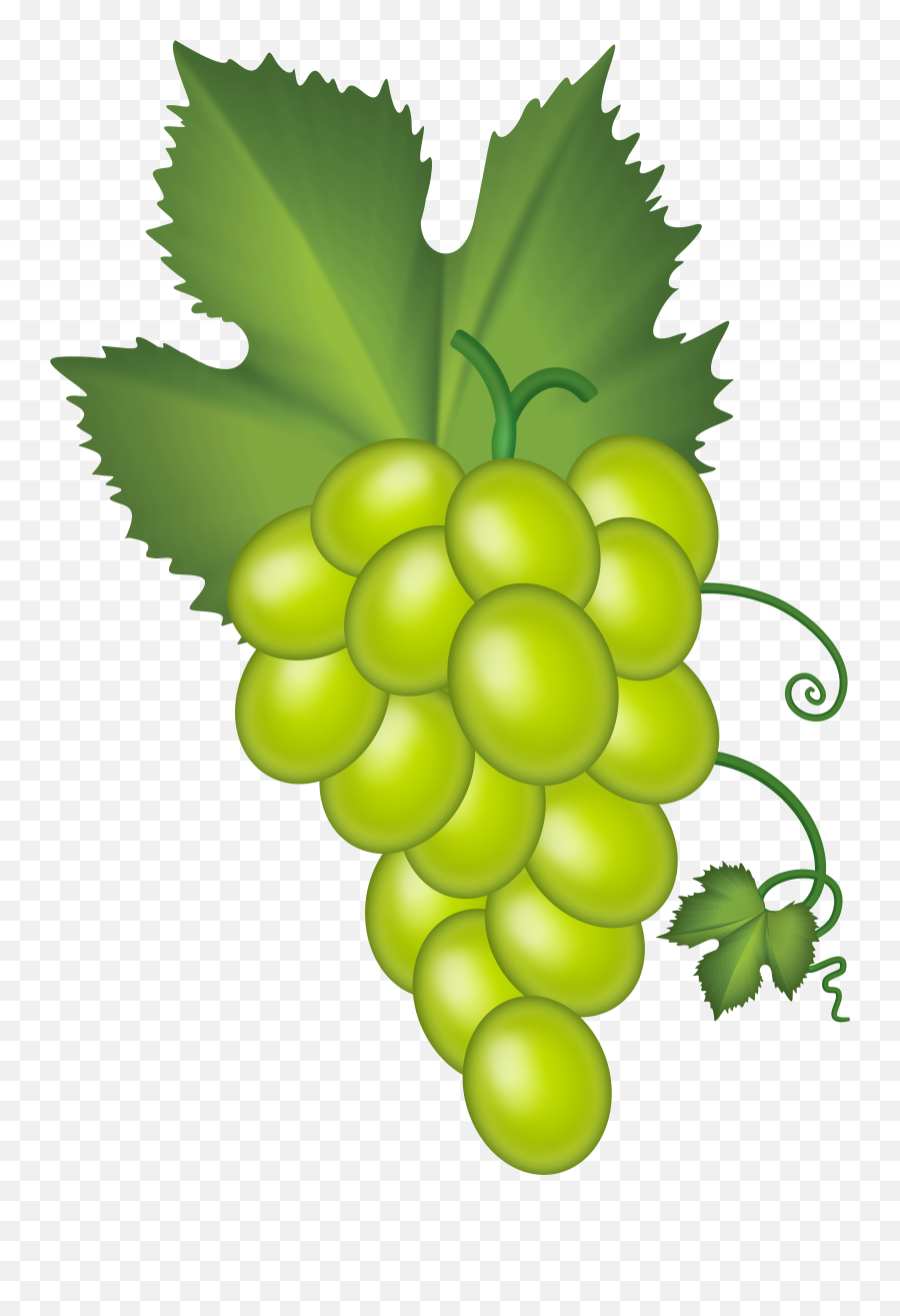 Grape Clipart High Quality Grape High - Transparent Background Green Grapes Clipart Emoji,Green Grape Emoji