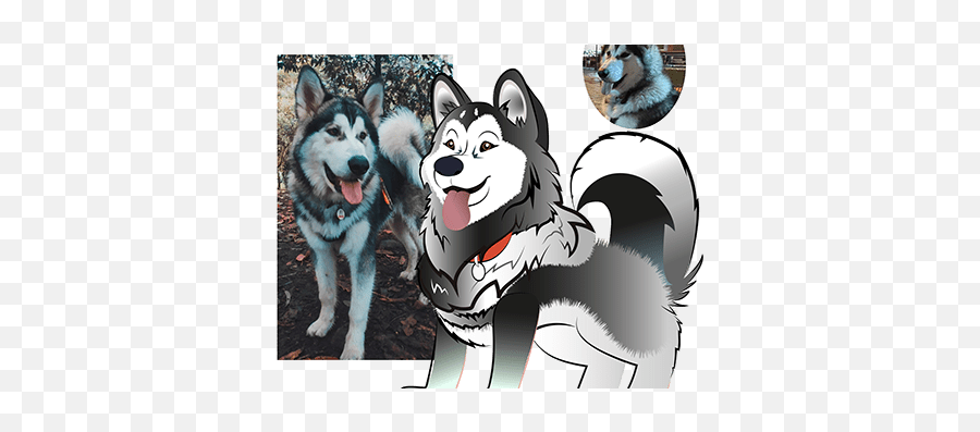 Alaskan Malamute Projects - Northern Breed Group Emoji,Wolf Emojis Tyler