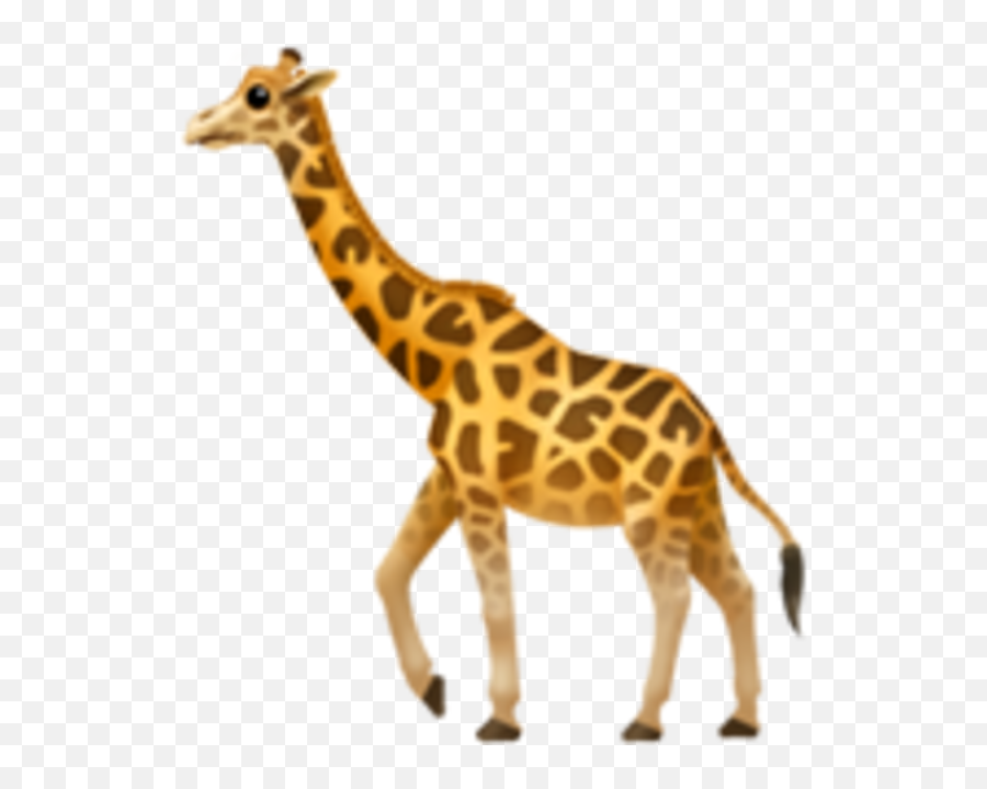 Apple Releases Ios 111 With Hundreds Of New Emoji 3d Touch - Giraffe Png Transparent,Emoji Scenes