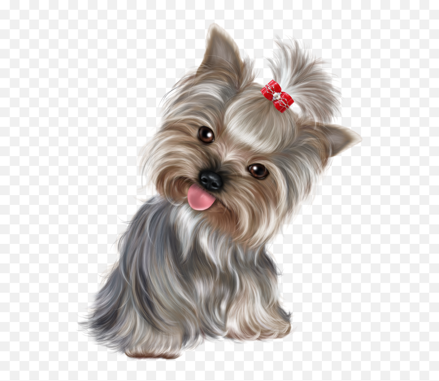 Cute Animal Drawings Yorkshire Terrier - Cute Clip Art Puppies Emoji,Yorkie Emoji