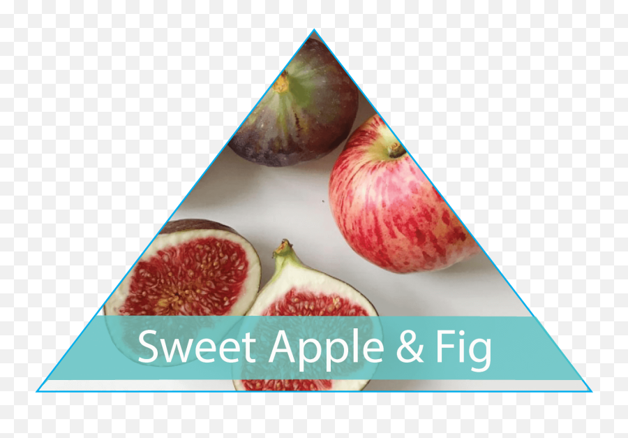 Products U0026 Services - Aerowest Emoji,Theme Sweet Emotion Products U0026 Services - Aerowest Emoji,Theme Sweet Emotion