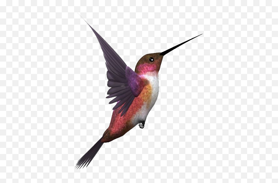 Hummingbird Bird Birds Sticker - Transparent Hummingbirds Png Emoji,Hummingbird Emoji