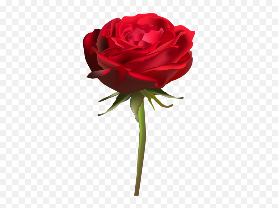 Beautiful Red Rose Png Clip Art Image Emoji,Red Rose Emoji