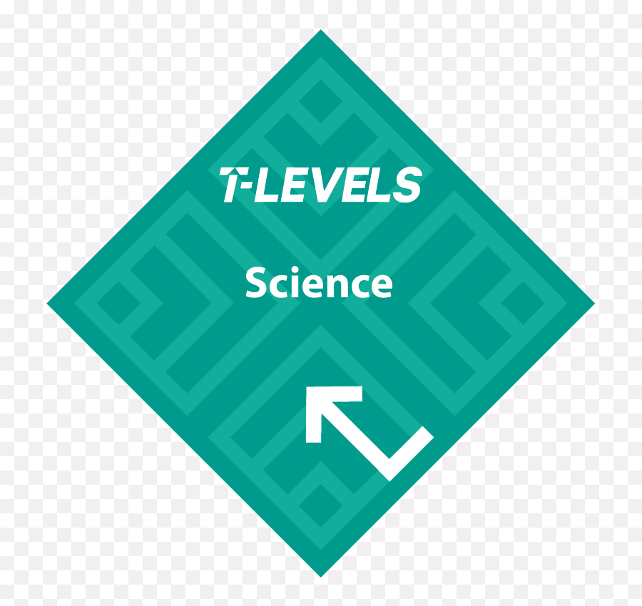 Priestleychem Priestleychem Twitter - Wwe All Stars Shawn Michaels Emoji,Without You Today's Emotions Would Be The Scurf Of Yesterday's