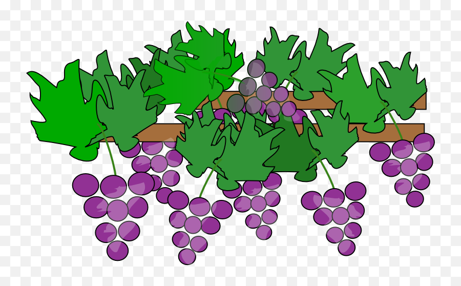Grapes Free To Use Clipart - Grapes Tree Clipart Emoji,Green Grape Emoji