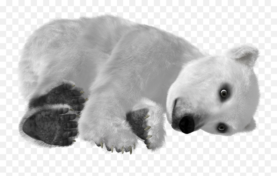 Polar Bear - Polar Bear Emoji,Ice Bear Showing Emotion