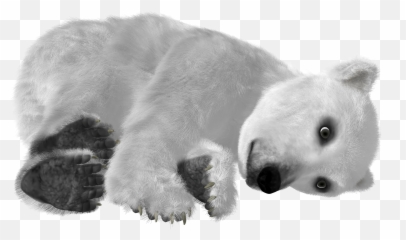 Polar Bear - Polar Bear Emoji,Ice Bear Showing Emotion