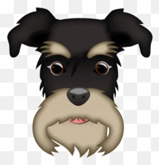 Puppy Is Born Mini Schnauzers - Schnauzer Emoji,Puppy Emoji