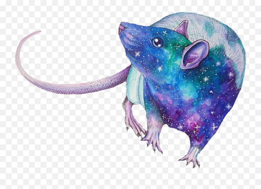 Galaxylife Rat Love Sticker By Navyandrewswittr - Animal Figure Emoji,Rat In Love Emoji