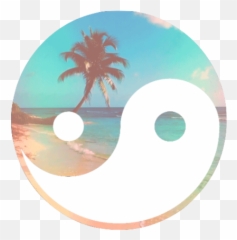 Pin By Gabby Maldonado On Naturaleza Ying Yang Cute - Aesthetic Yin Yang Transparent Background Emoji,Yin Yang Emoji Iphone