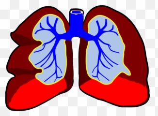 Breath Public Domain Image Search - Freeimg Respiratory And Circulatory System Clip Art Emoji,Holding My Breath Emoticon