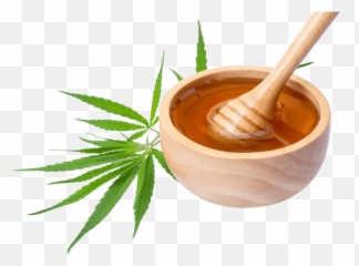 Scam Delta 8 Companies To Avoid - Language Emoji,High (weed) Five Emoji