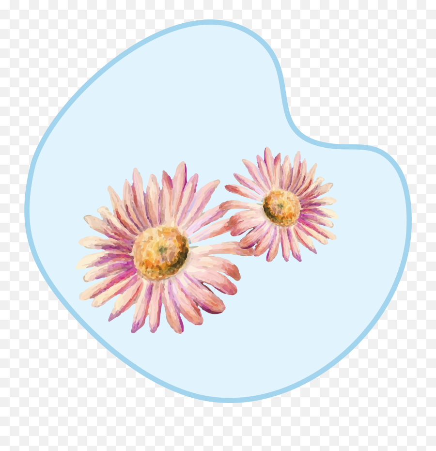 Sanfe Underarm Anti - Perspirant Deo Cream 60g Girly Emoji,Emojis Flower Omg