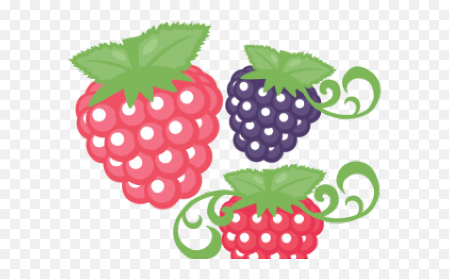 Raspberries Clipart Cute - Raspberry Fruit Pencil Art Png Raspberry Clipart Cute Emoji,Raspberry Emoticon Black White