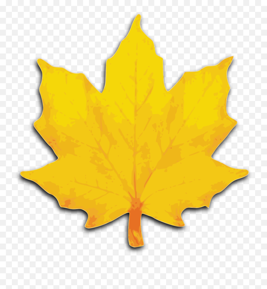 Leaf Fall Leaves Clipart Free Clipart - Maple Leaves Clip Art Emoji,Fall Leaf Emoji