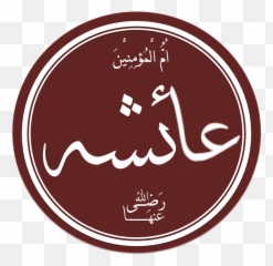 Biographies Archives - Haqislam Emoji,Qasim Ali Shah Video Emotion