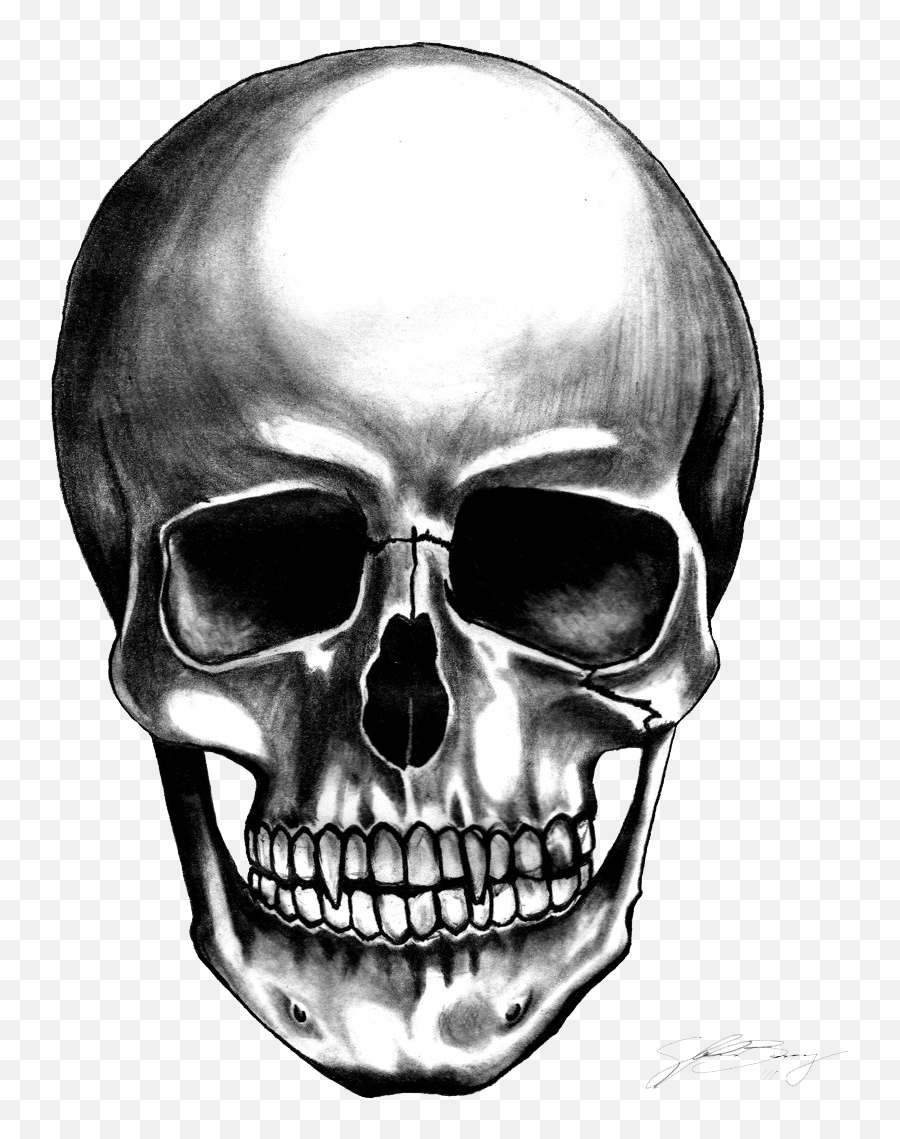 Free Black And White Skull Png Download Free Black And Emoji,Skelliton Trumpet Emoji